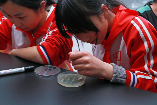 1682077029667585.png image.png