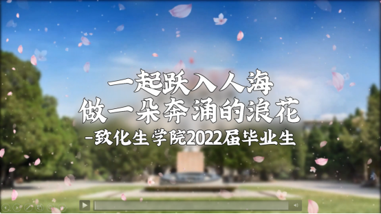 1656918586152866.png image.png