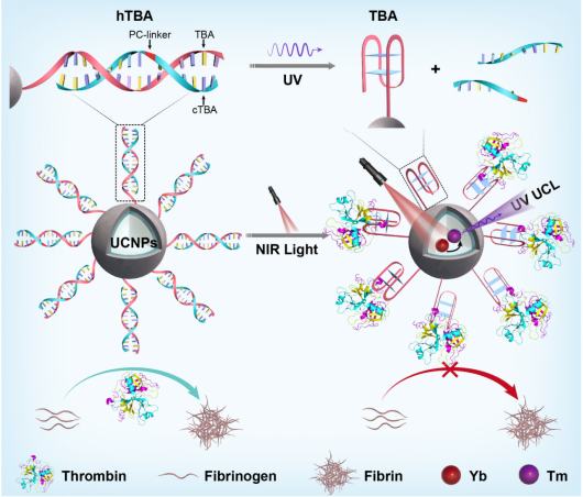 1647933361959416.png image.png