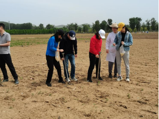 1685670631272851.png image.png