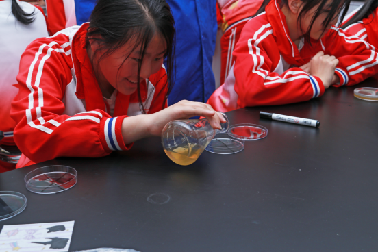 1682077004527609.png image.png