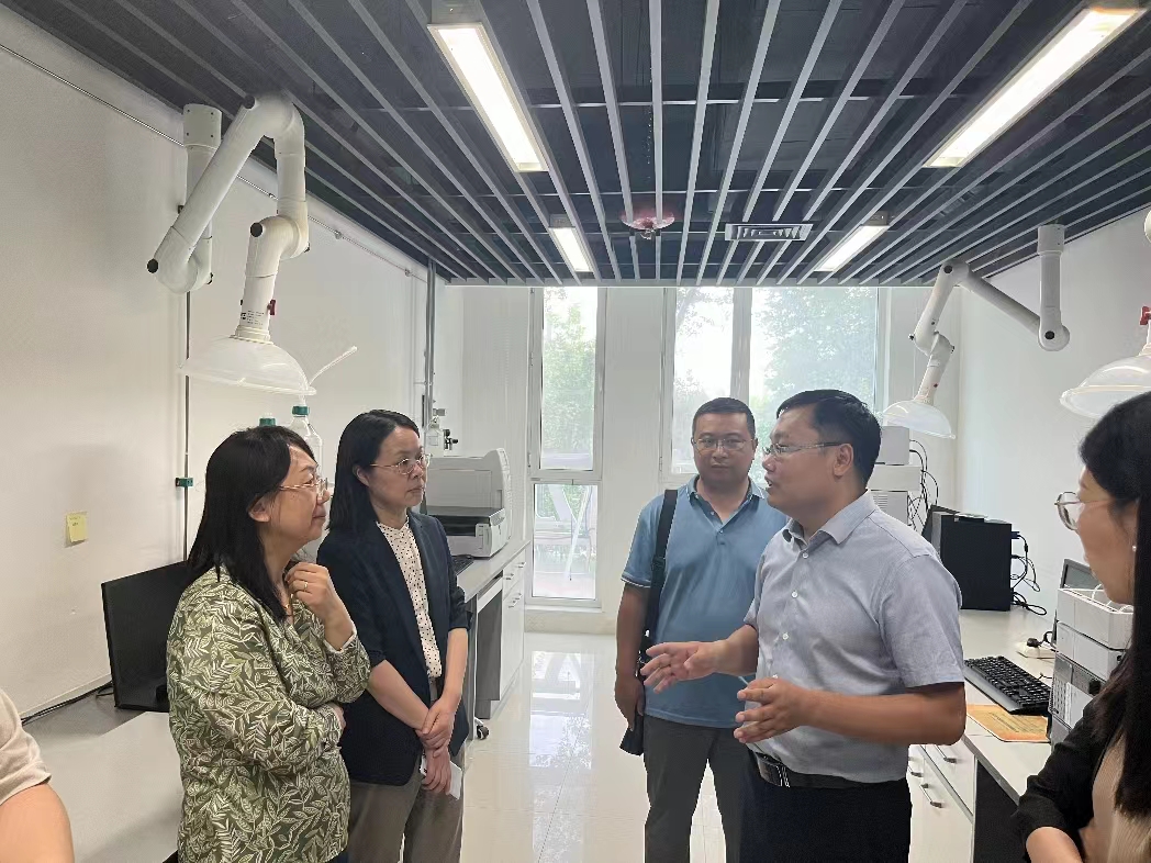 1716798309511671.jpg 4.jpg