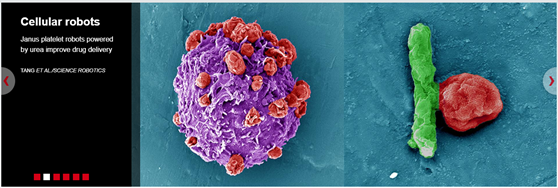 1592471601648089.png image.png