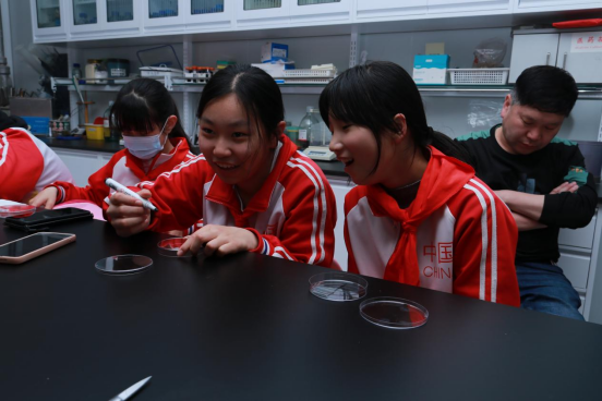 1682076990923714.png image.png