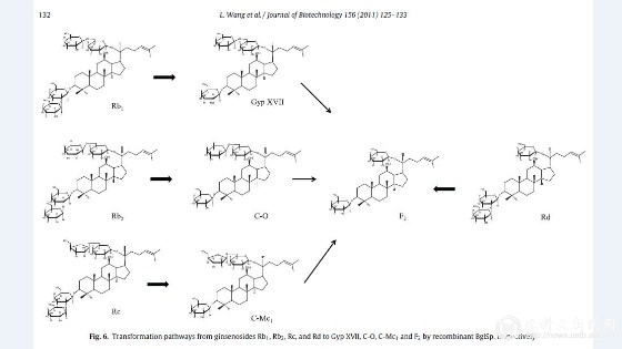 cdc63d1367f7421ecc0aa025ec93d079.jpg 3.jpg