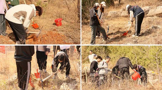 1713163499351974.png image.png