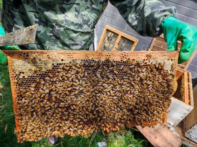 1719799008661791.jpg 图片17.jpg